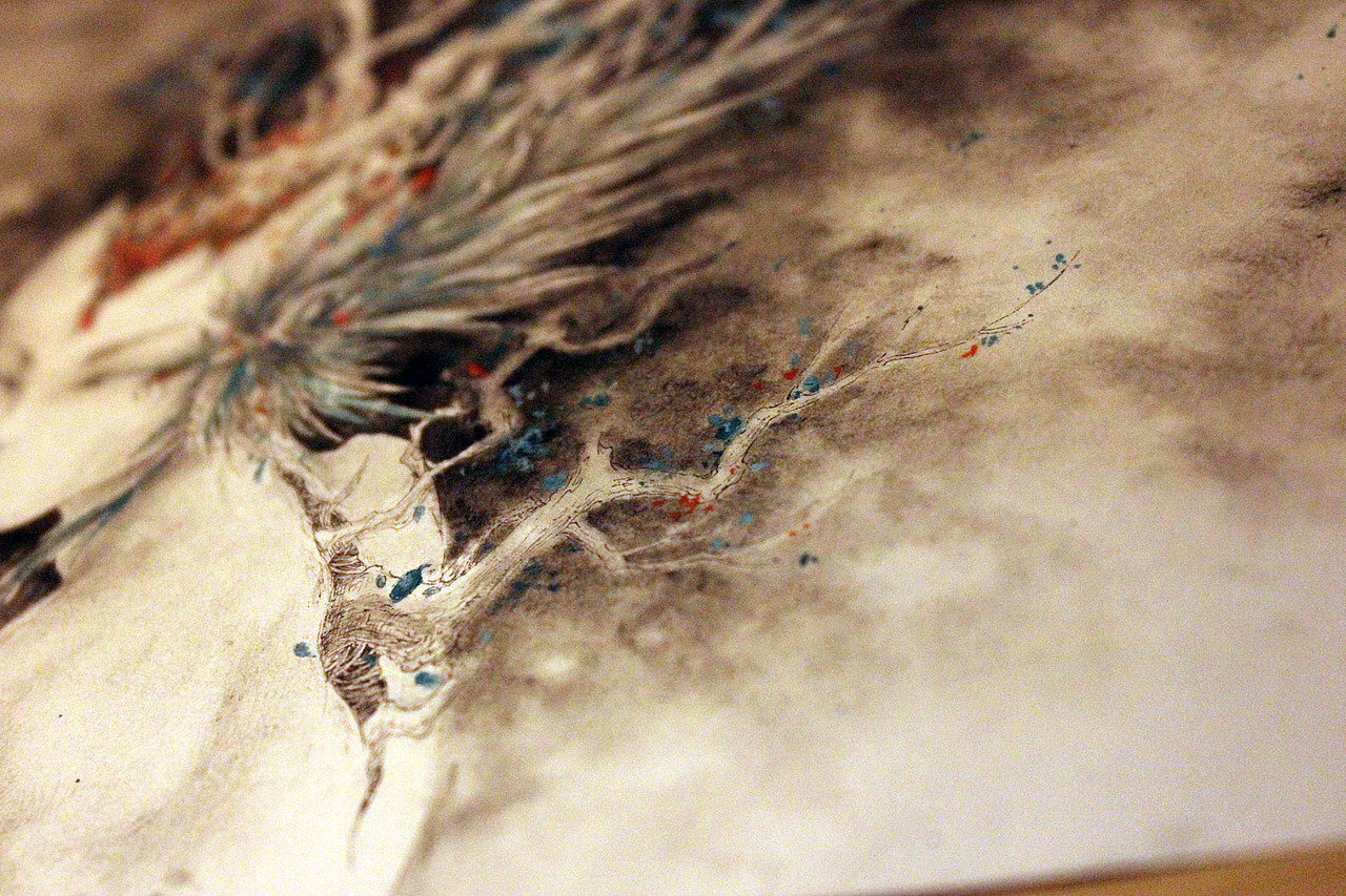 【手绘练习】彼川风嚣卷寒花···