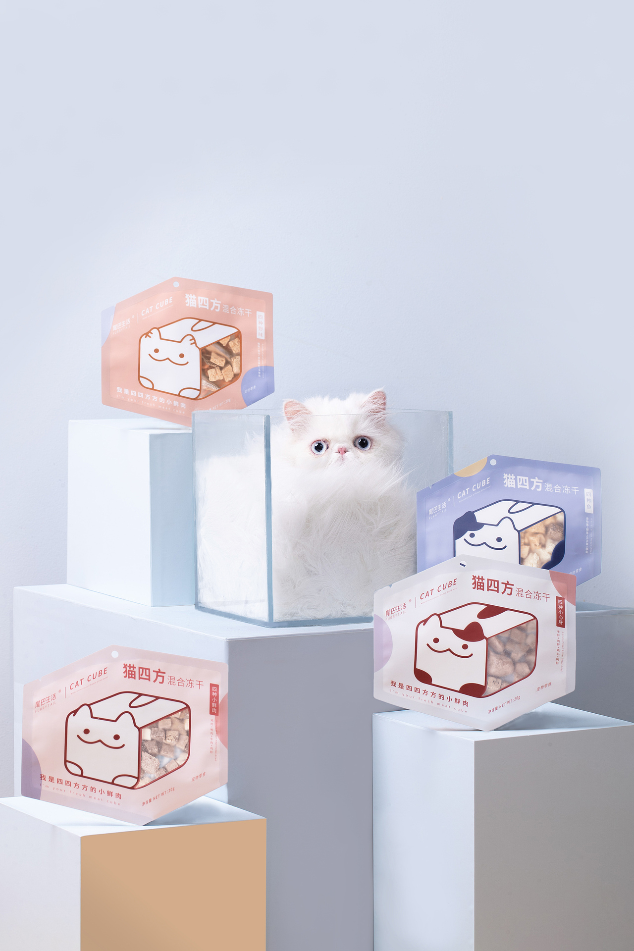 猫四方 | 冻干拍摄