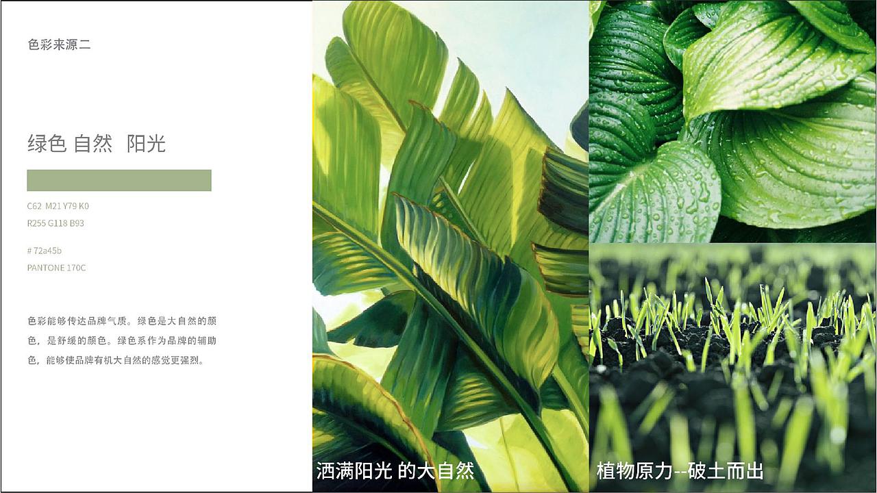 超级品牌 | 一滴自然原力天露芬