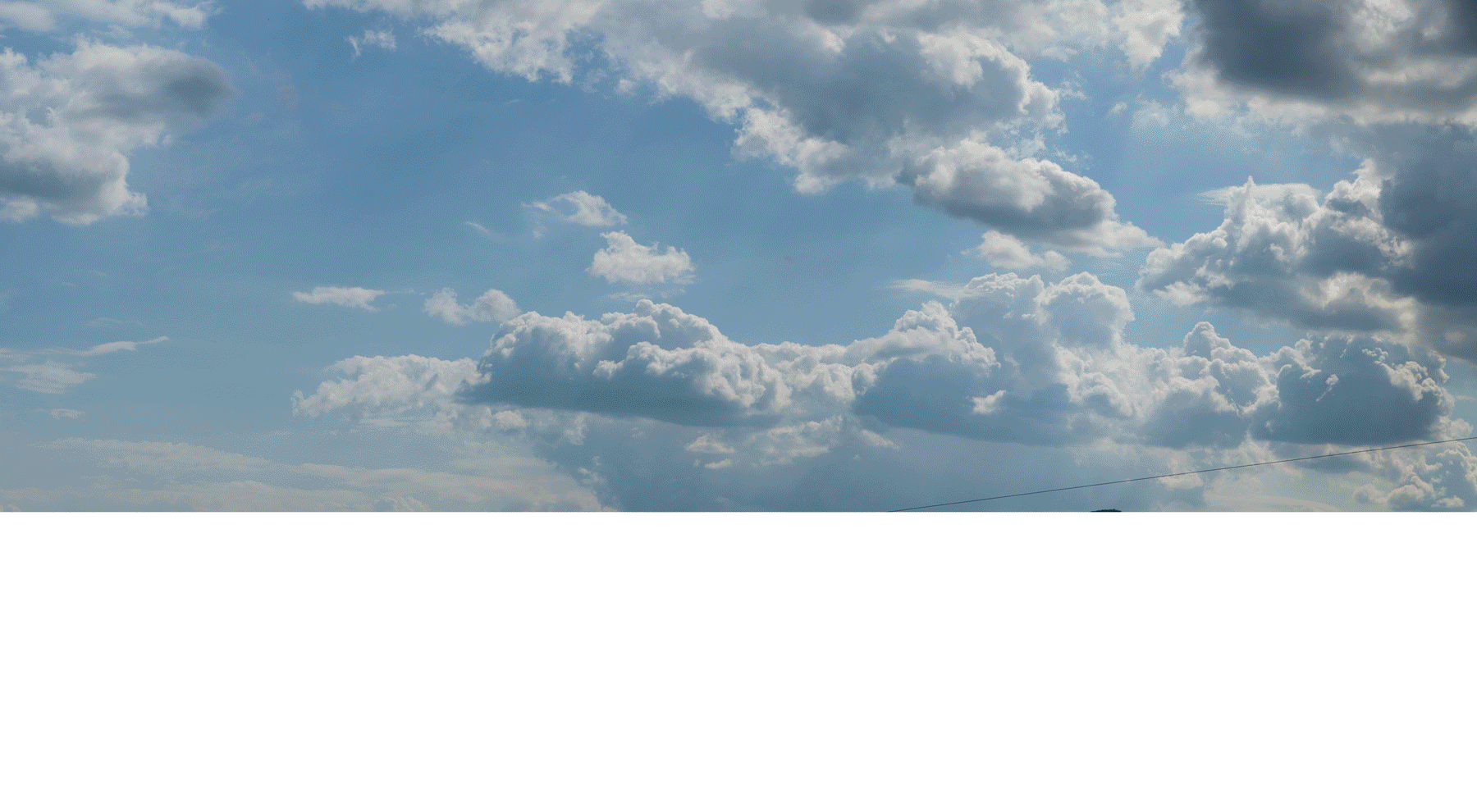 世界樹(shù)（圖ZMzE1NjgzNzQ0） - 影視后期 - 站酷設(shè)計(jì)師B加選手原創(chuàng)素材 - 站酷ZCOOL