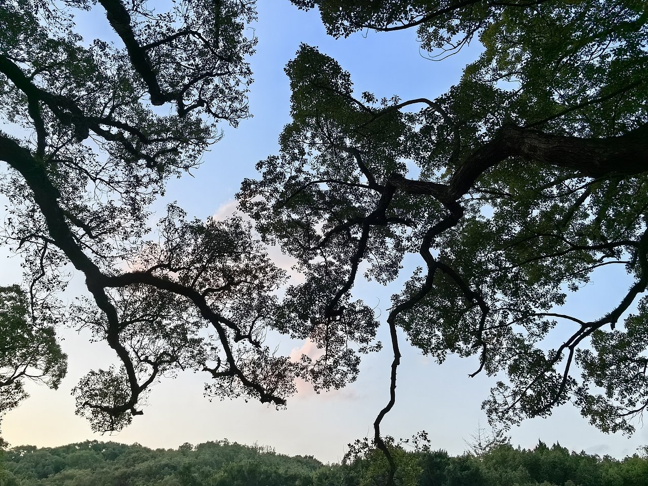 面朝大海  春暖花开  ▏手机摄影