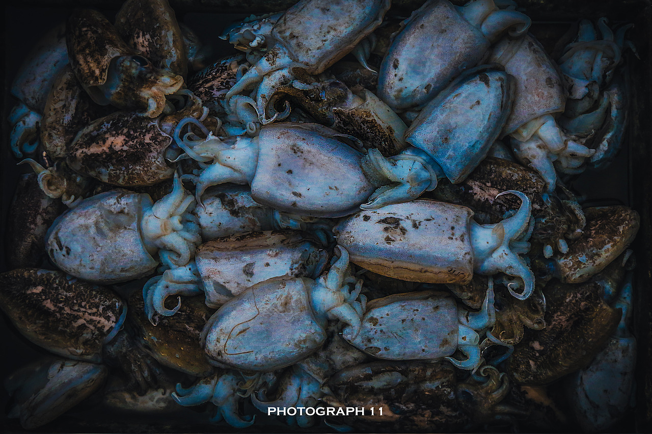 渔港（图ZMzIzNjk2NTA4） - 风光摄影 - 站酷设计师11ELEVEN原创素材 - 站酷ZCOOL