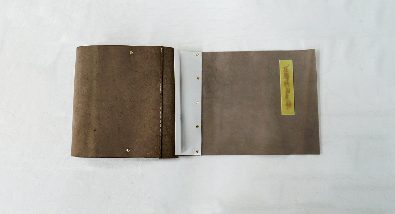 《脏腑病因条辨》龙鳞装