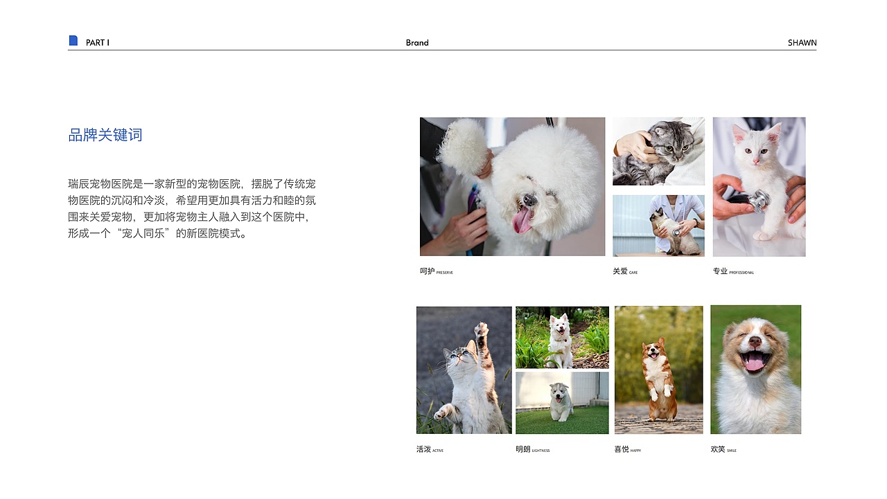 2023视觉传达个人作品集