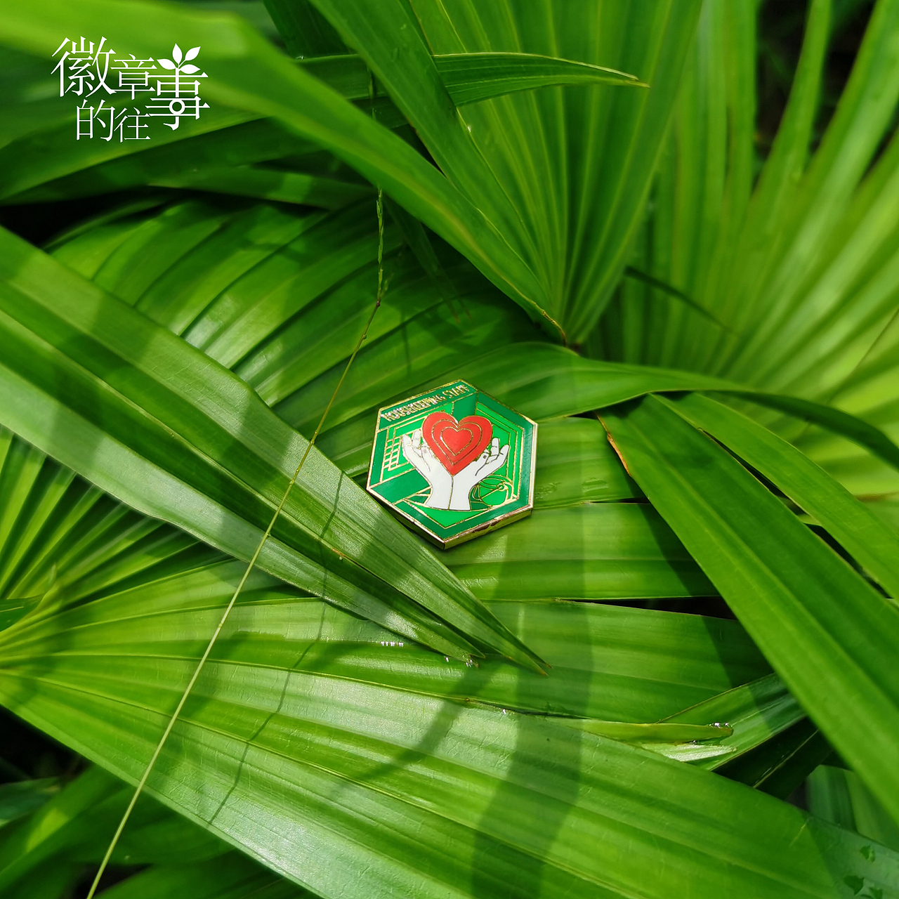 徽章的往事（图ZMzQxNDUwMTQ4） - 人文/纪实摄影 - 站酷设计师shenyazi原创素材 - 站酷ZCOOL