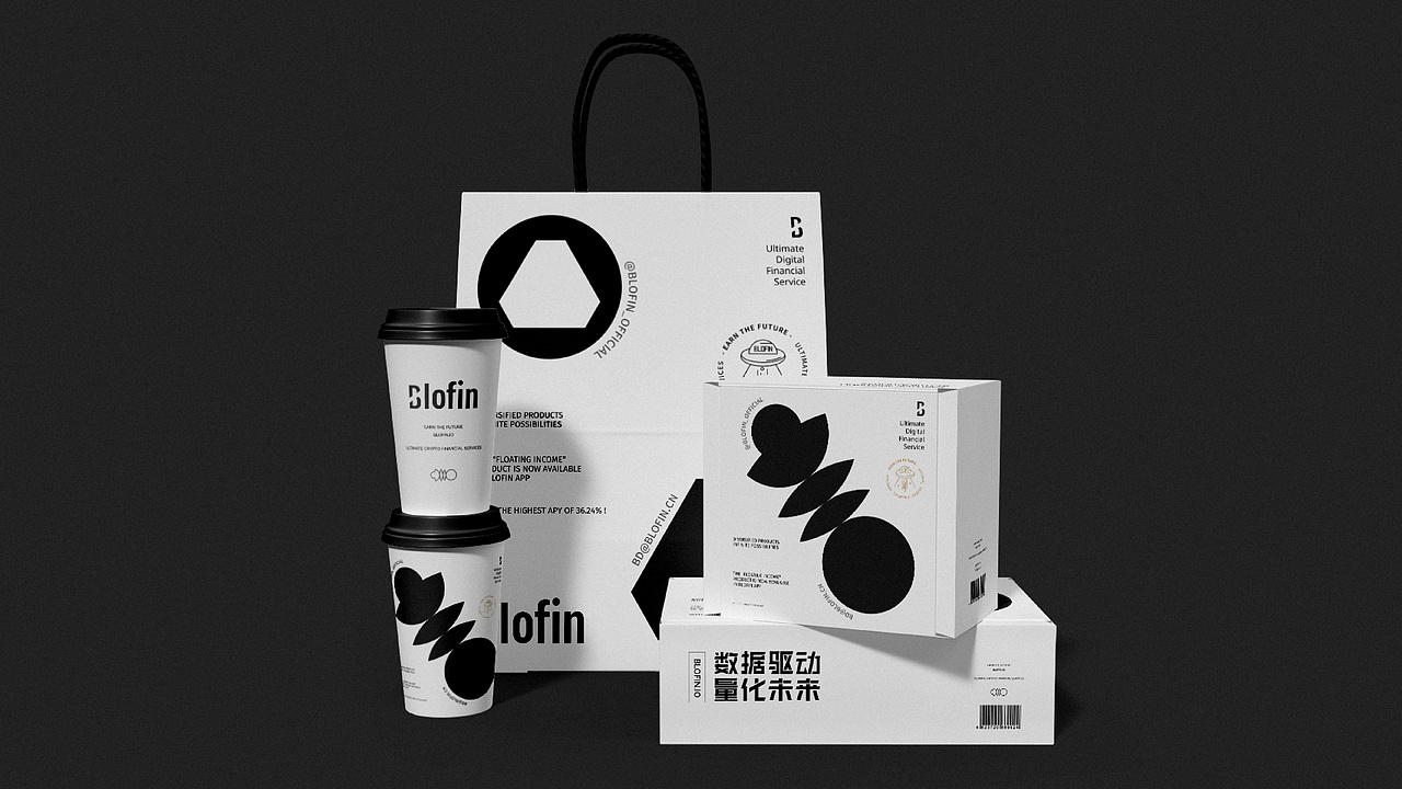 【品牌设计】blofin × 阿呆 - 关于黑白的探索