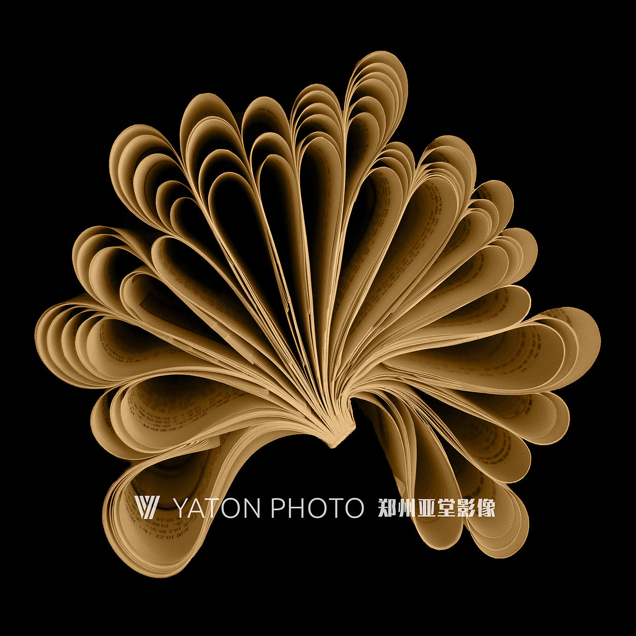 书籍造型艺术摄影《册》