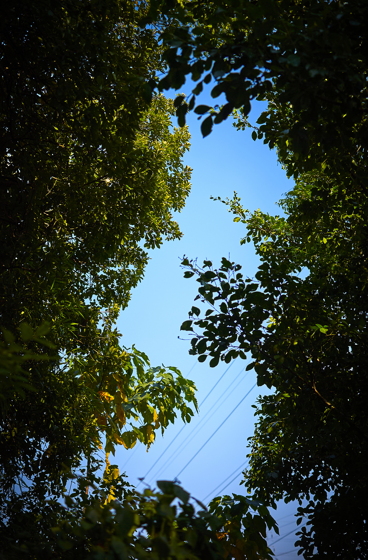 日常（图ZMzM0NzUzODU2） - 人文/纪实摄影 - 站酷设计师大只秋原创素材 - 站酷ZCOOL