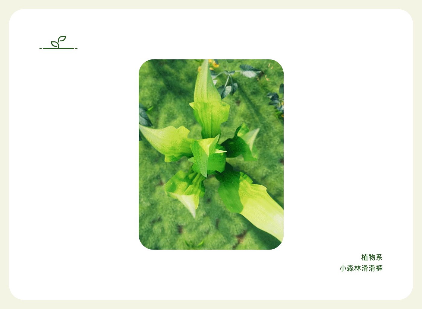 巴拉巴拉品牌体系全案详情页短视频母婴儿童内裤设计