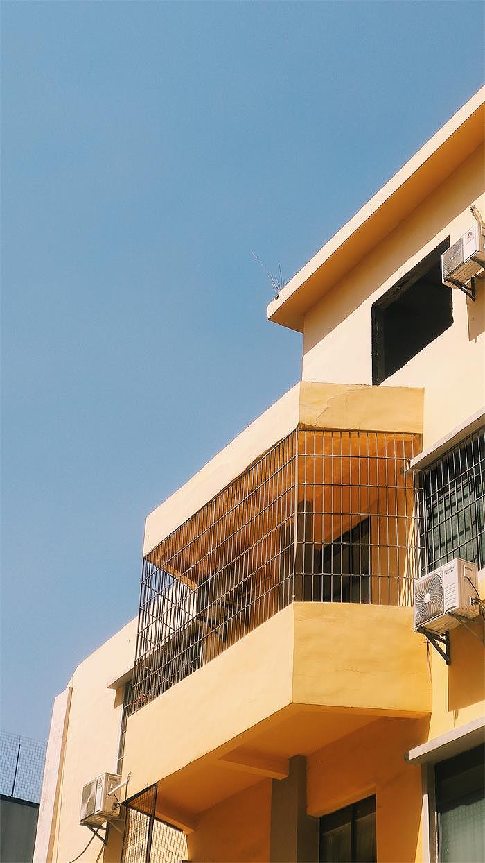 2022「手机摄影合集 」- 记录镜头下的美好瞬间