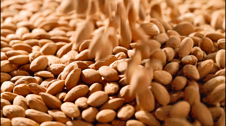 坚果零食视频 | 口水视觉（图ZMzE2MDY5MDky） - 美食摄影 - 站酷设计师口水视觉原创素材 - 站酷ZCOOL