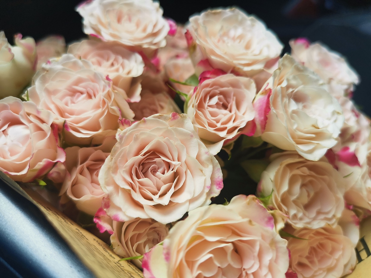 花-huawei mate20pro 随手拍摄