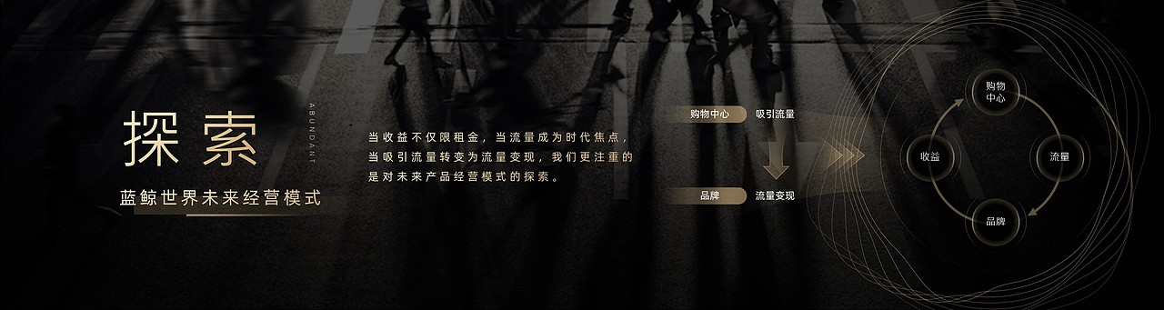 PPT定制/龙光商业/鲸影共赢发布会