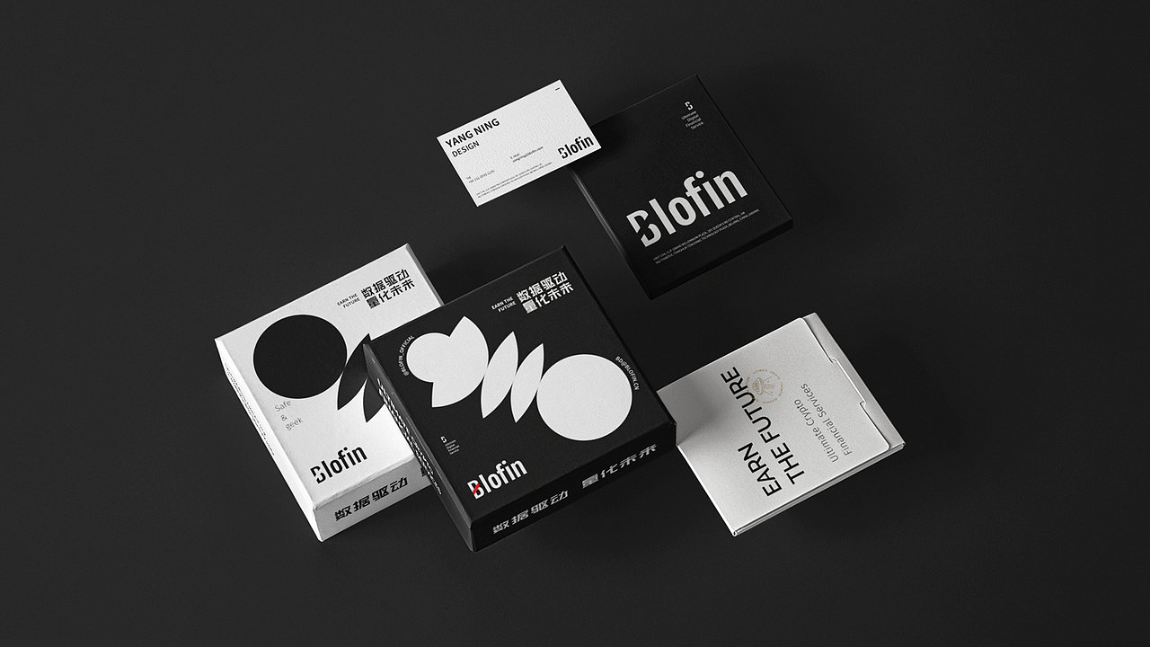 【品牌设计】blofin × 阿呆 - 关于黑白的探索