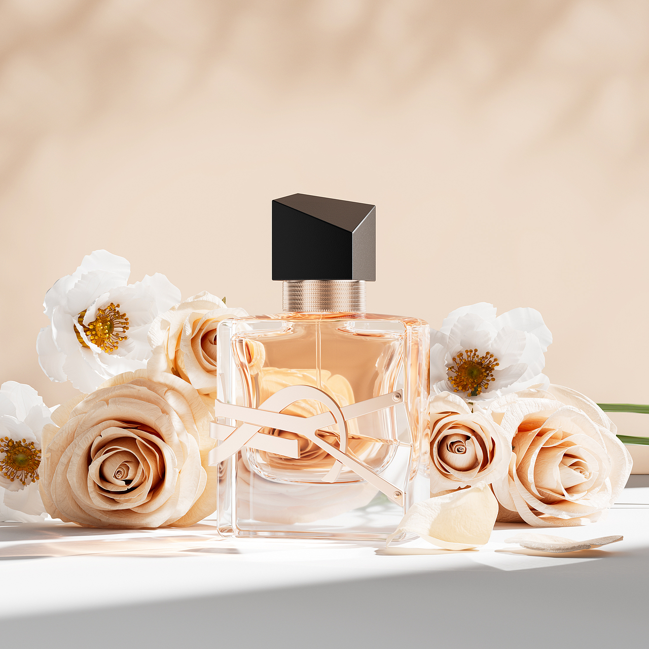 RS入门练习/献丑了