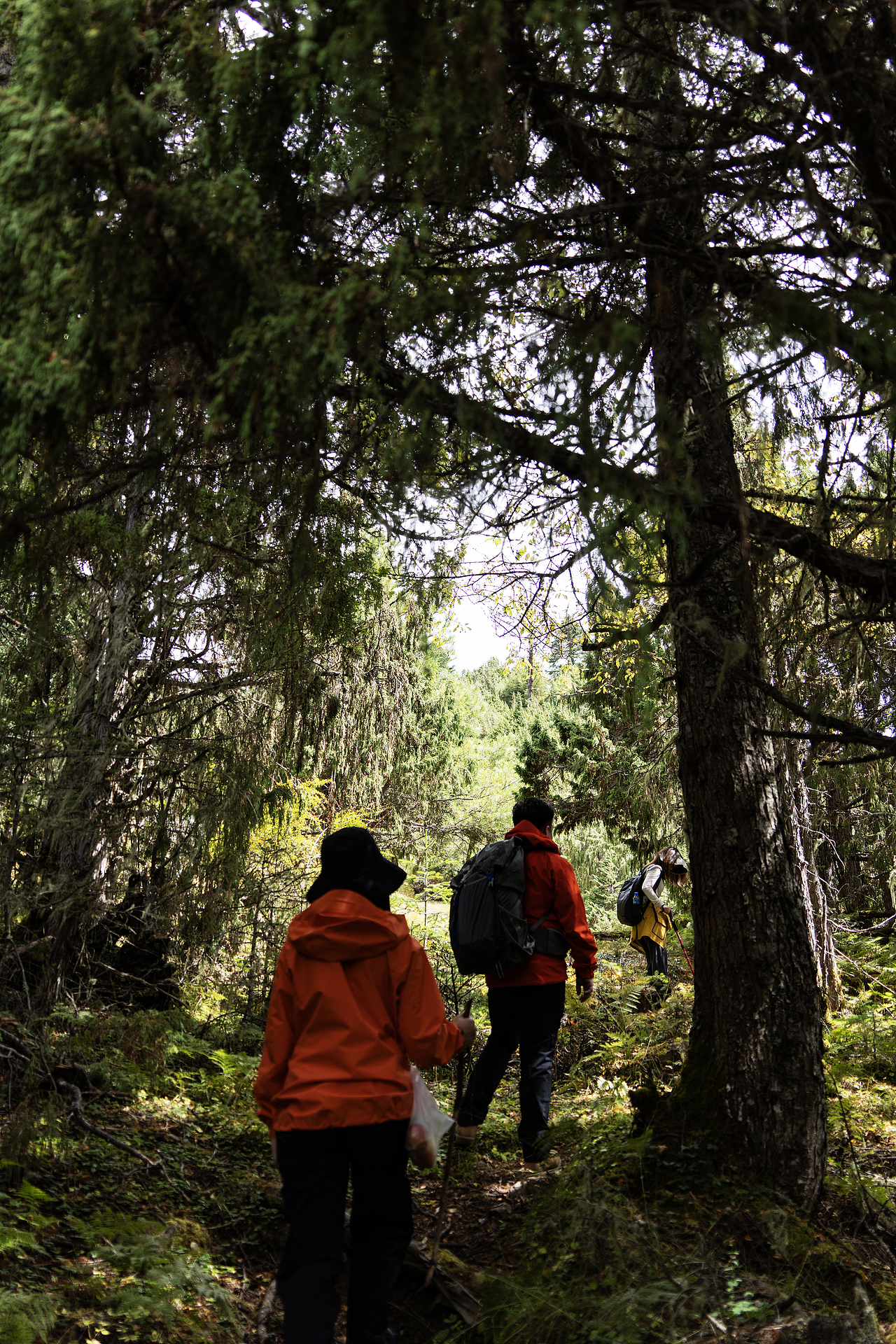 重返香格里拉2022