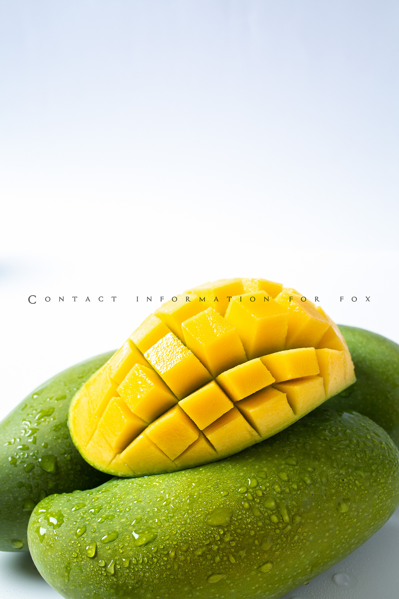 水果拍摄-百色芒果桂七电商图详情海报图拍摄案例