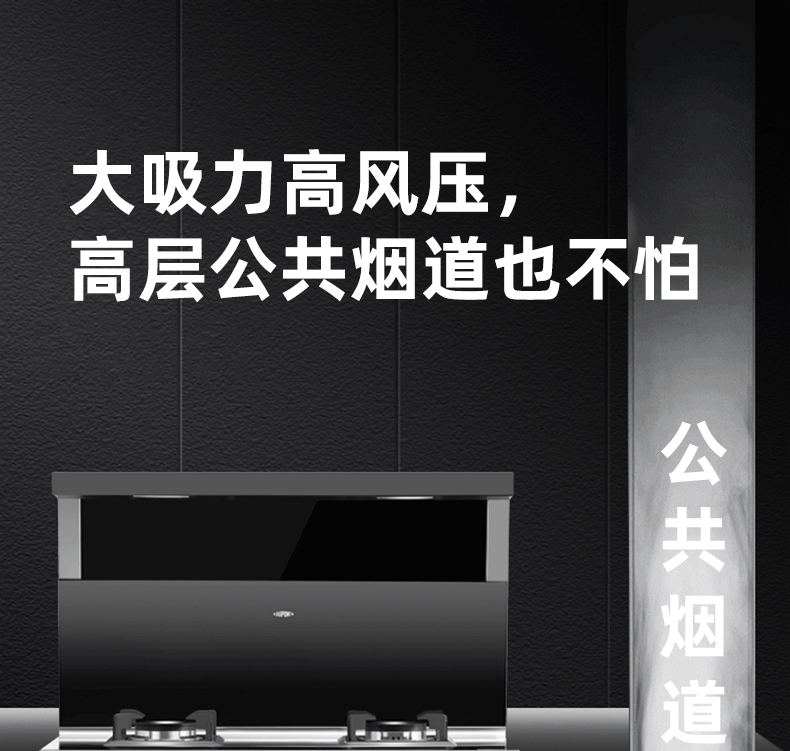 集成灶项目