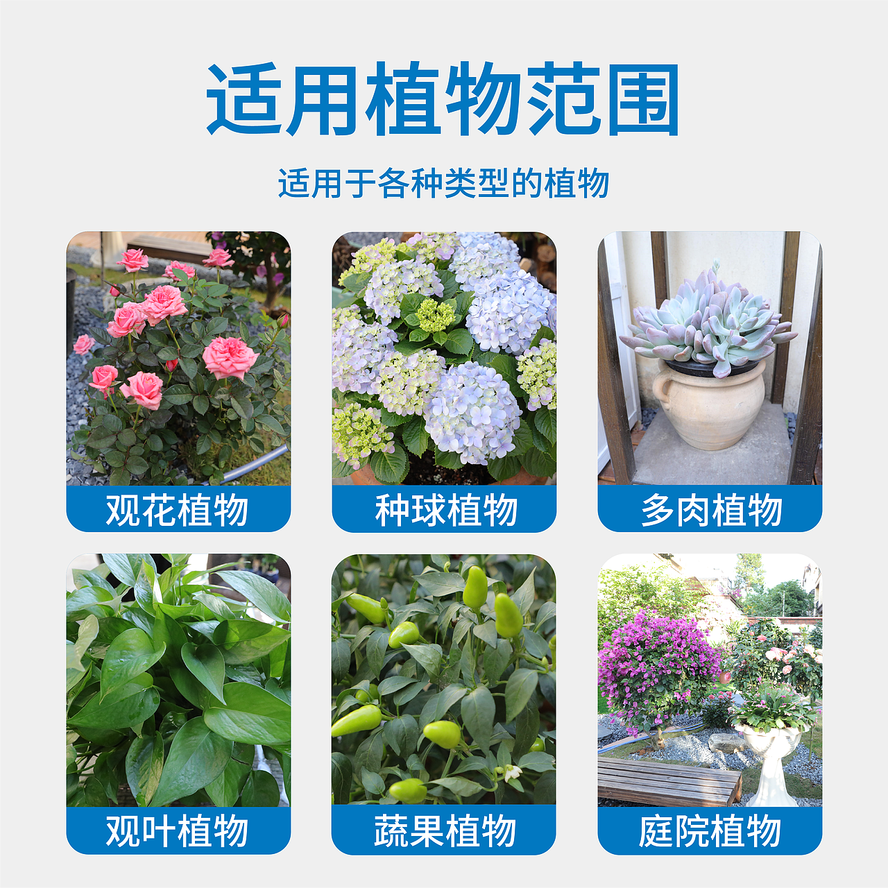 植物防冻液营养素
