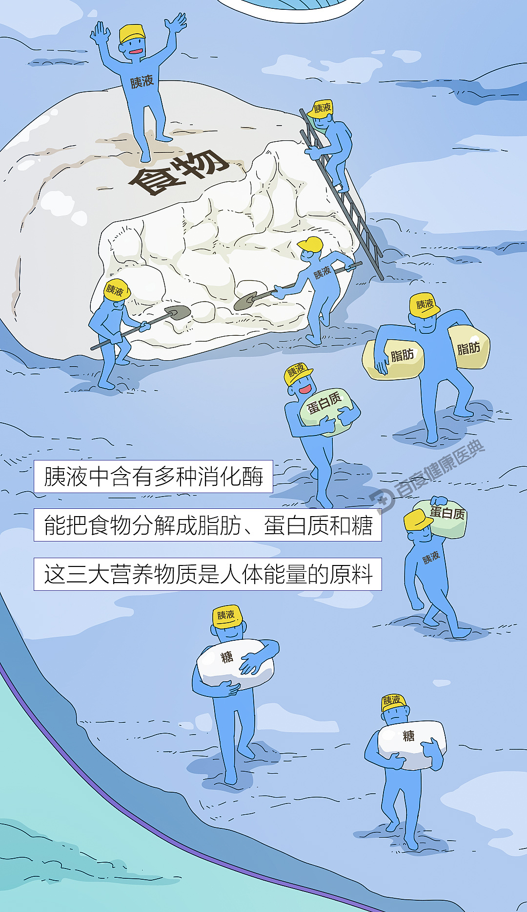 《百度健康医典:胰腺癌》条漫(健康科普)