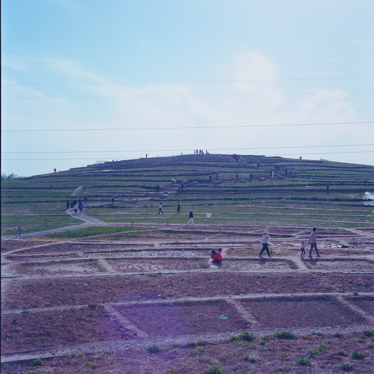 「胶片」定格在春天