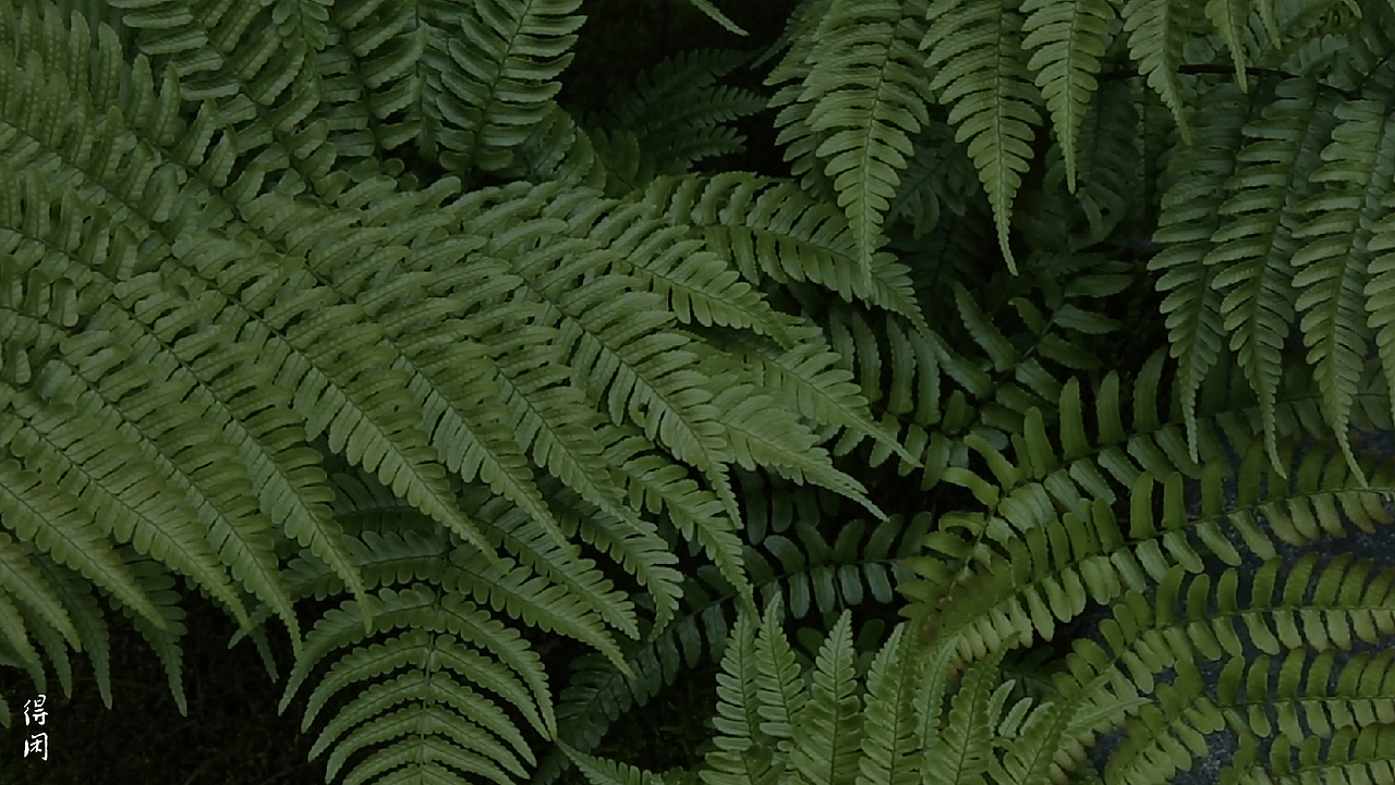 古婺窑火 玉青瓷茶具套装 得闲 产品摄影分享