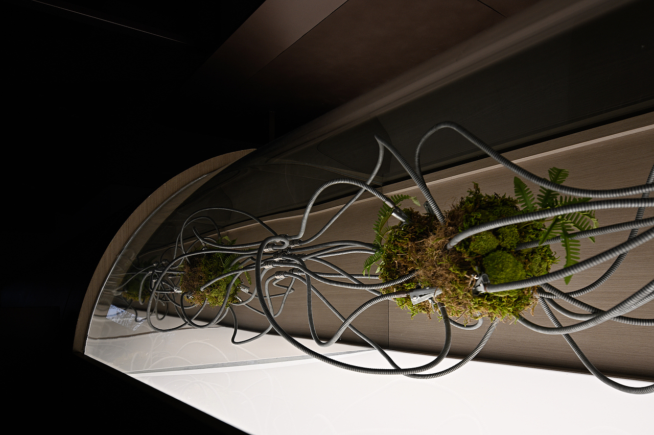 JLa设计集团×长春保利城|追光·朝阳生长