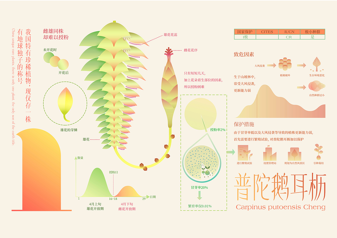 最后的植物(图ZMjk3NDc4MjI0) - 信息图表 - 站酷设计师竹子林里赏绿竹原创素材 - 站酷ZCOOL