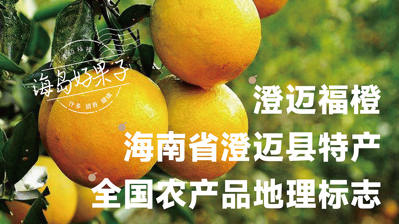 海南岛丰物文创设计丨农产品水果食品包装｜澄迈福橙（图ZMzYwNzA2Mjky） - 包装 - 站酷设计师艾亿客原创素材 - 站酷ZCOOL