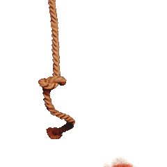 《乐乐与波波的日常》表情包（图ZMzQ4MTM5MDk2） - IP形象 - 站酷设计师AmyHuang江海原创素材 - 站酷ZCOOL