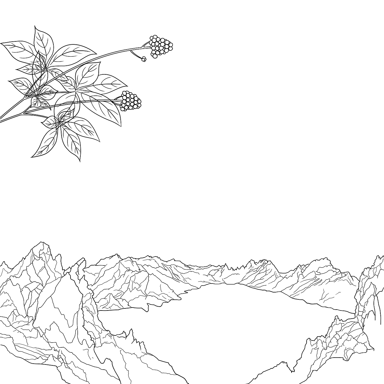 线性新中式插画头像+封面