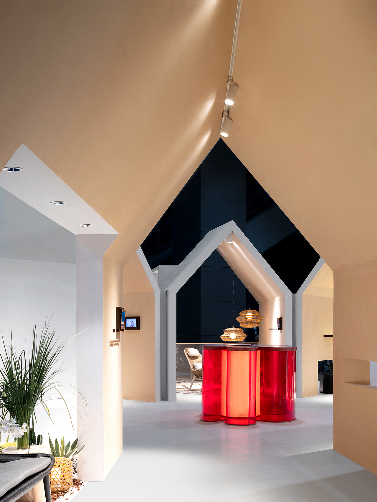 「亚帝之花」联名展览