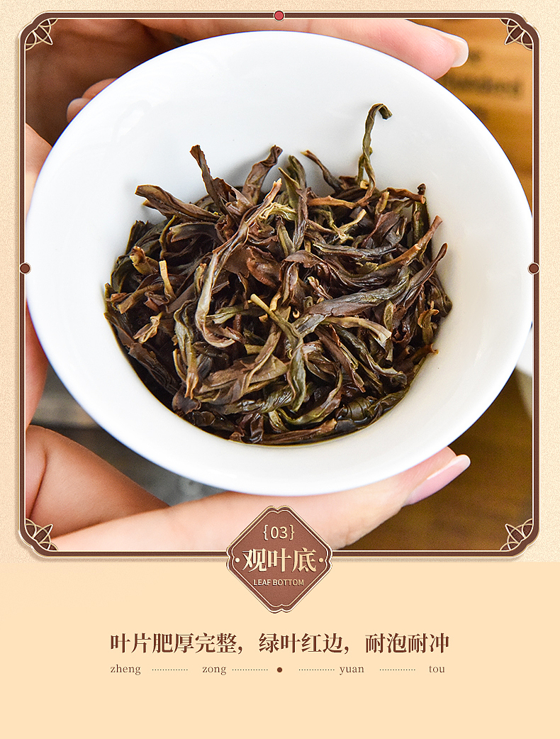 凤凰单丛茶高山古树老枞老仙翁