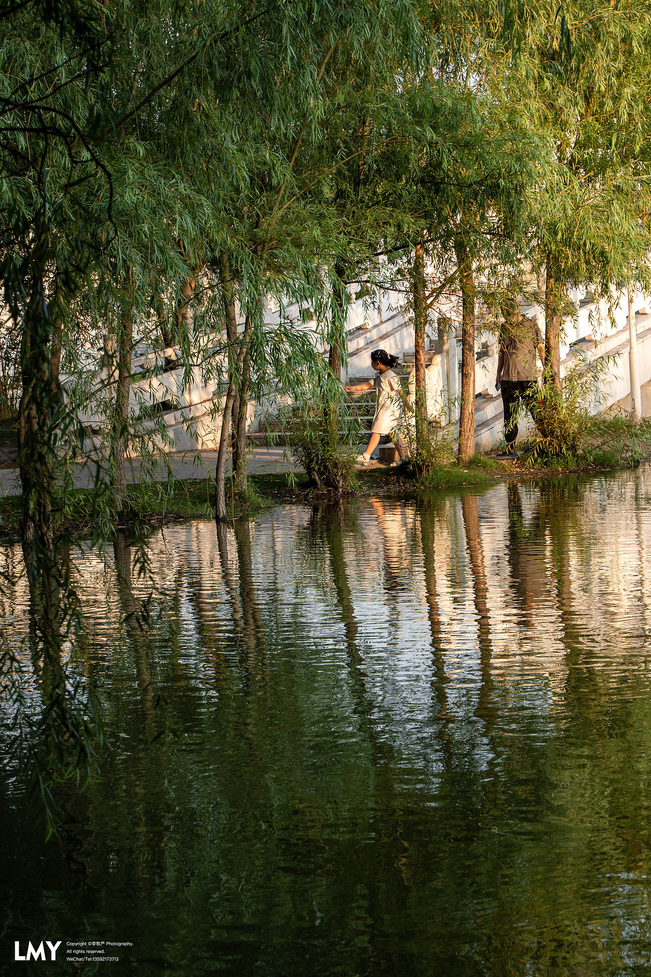 建筑景观摄影-河南中医药大学图书馆