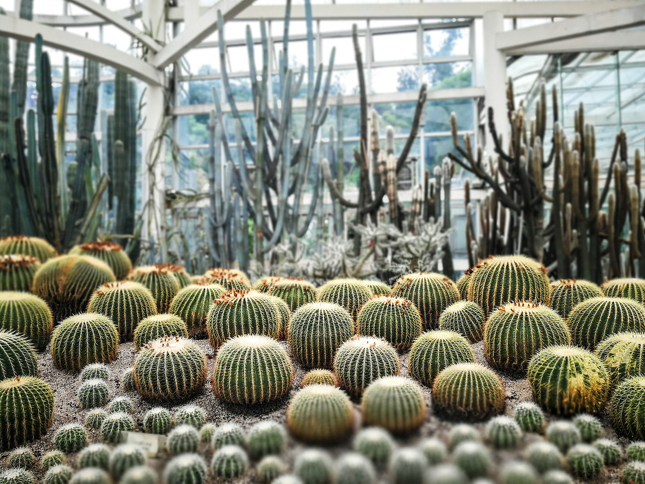 厦门｜福建土楼（图ZMzQ3MTc1NzYw） - 人文/纪实摄影 - 站酷设计师树云Serene原创素材 - 站酷ZCOOL