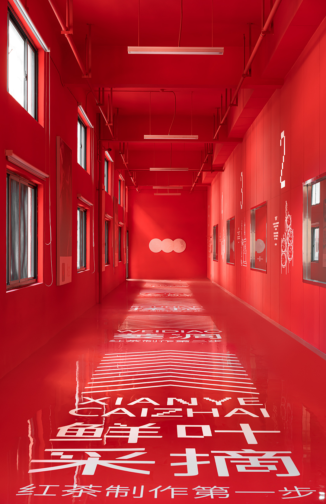 雨林古树茶展厅（图ZMzU3OTI0NTky） - 环境/建筑摄影 - 站酷设计师摄影师康超凡原创素材 - 站酷ZCOOL