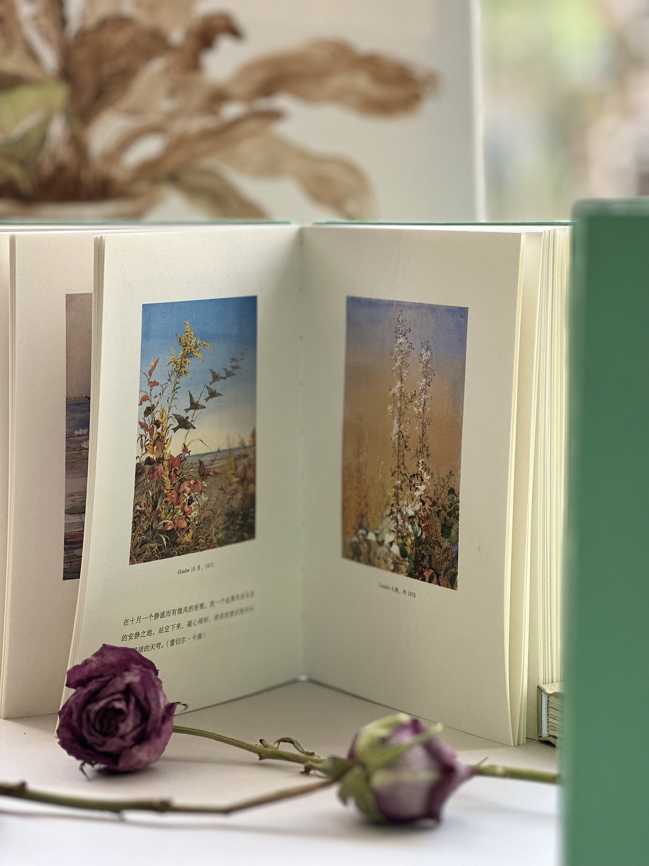 《花鸟与四季》