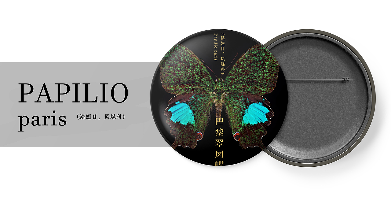 《蟲之形》 | 微觀昆蟲攝影展（圖ZMzYwODE2NzI4） - 其他平面 - 站酷設(shè)計(jì)師熊貓?zhí)淘瓌?chuàng)素材 - 站酷ZCOOL