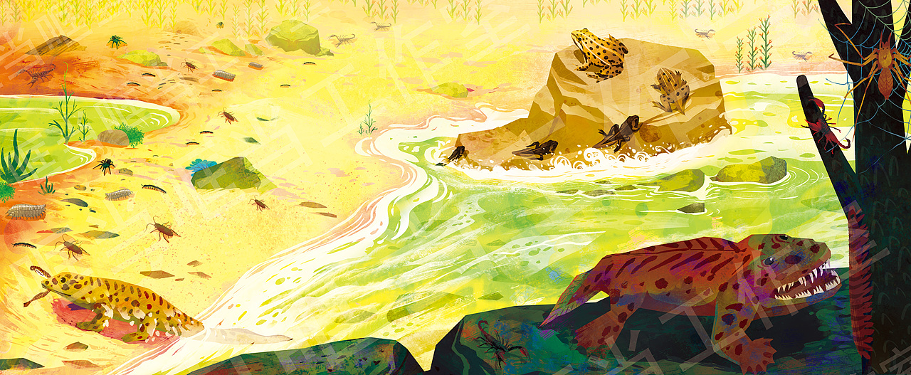 少儿科普百科全书插画（一）