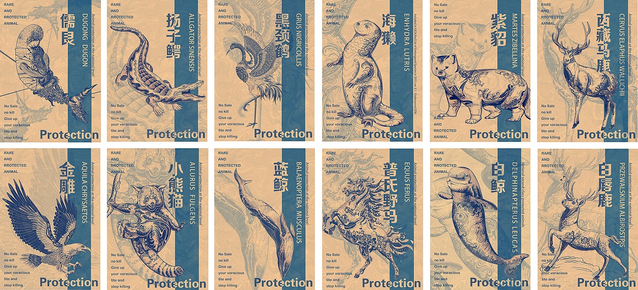 保护珍稀动物（图ZMzIxODI0MDgw） - 包装 - 站酷设计师悦之悦之原创素材 - 站酷ZCOOL