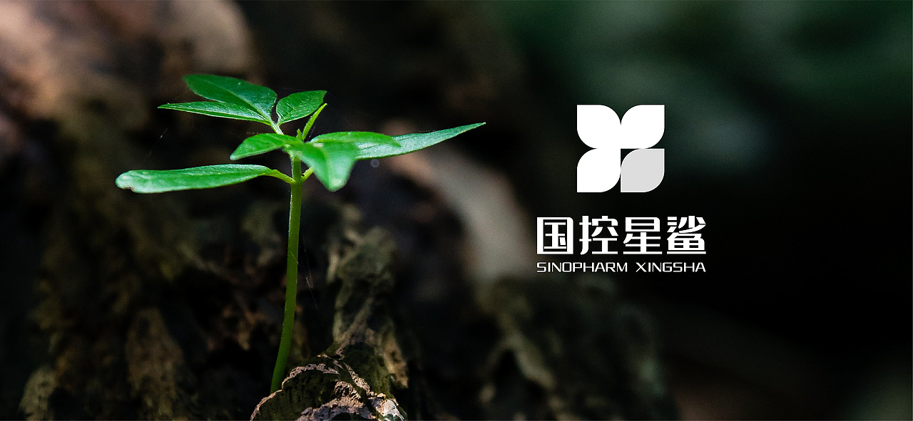 从“星”出发，从“心出发，重“新”出发（图ZMjk3MDc3MTky） - Logo - 站酷设计师假花Jeka原创素材 - 站酷ZCOOL