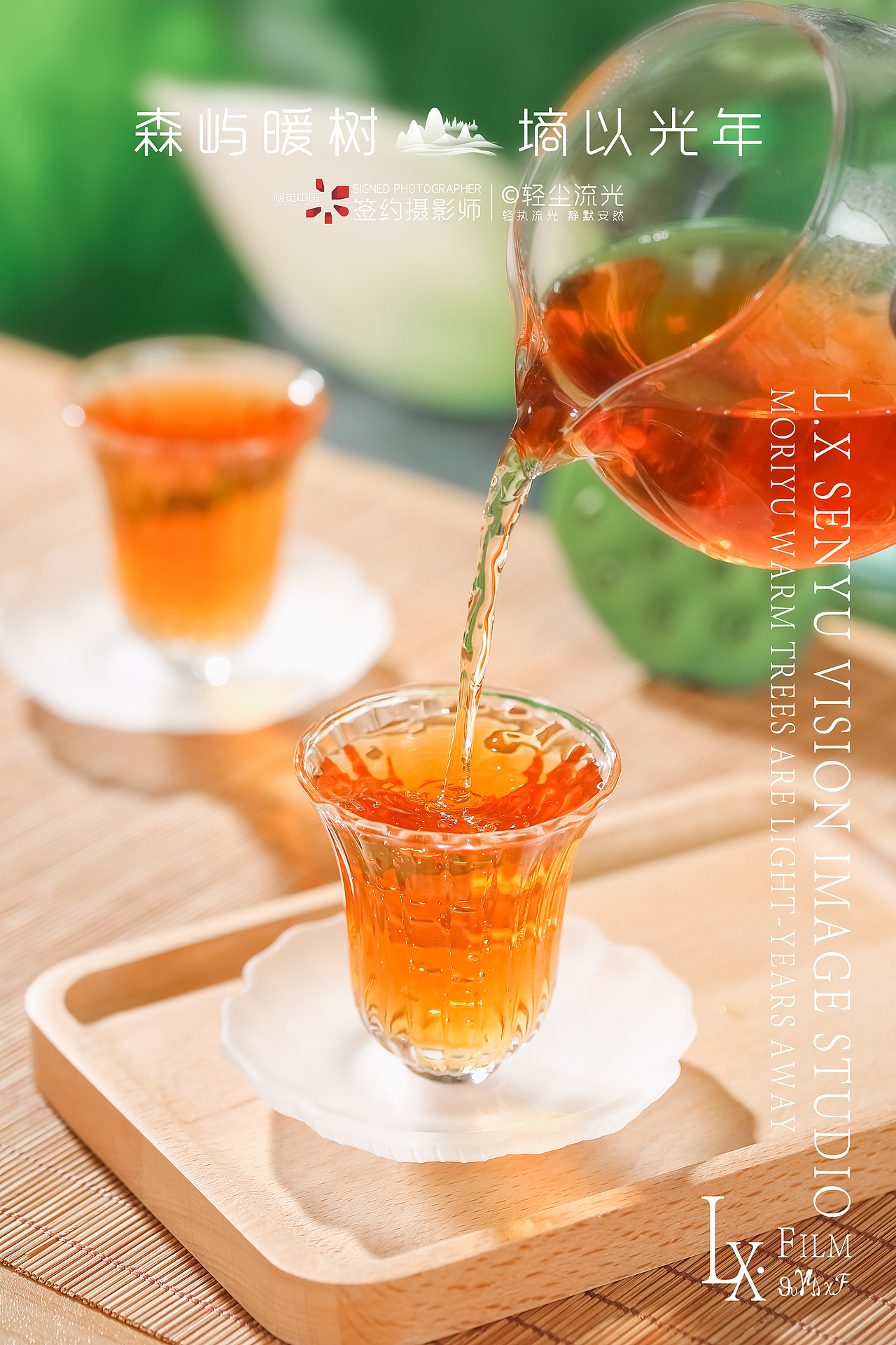 黑乌龙茶 荒野白牡丹茶叶商业摄影