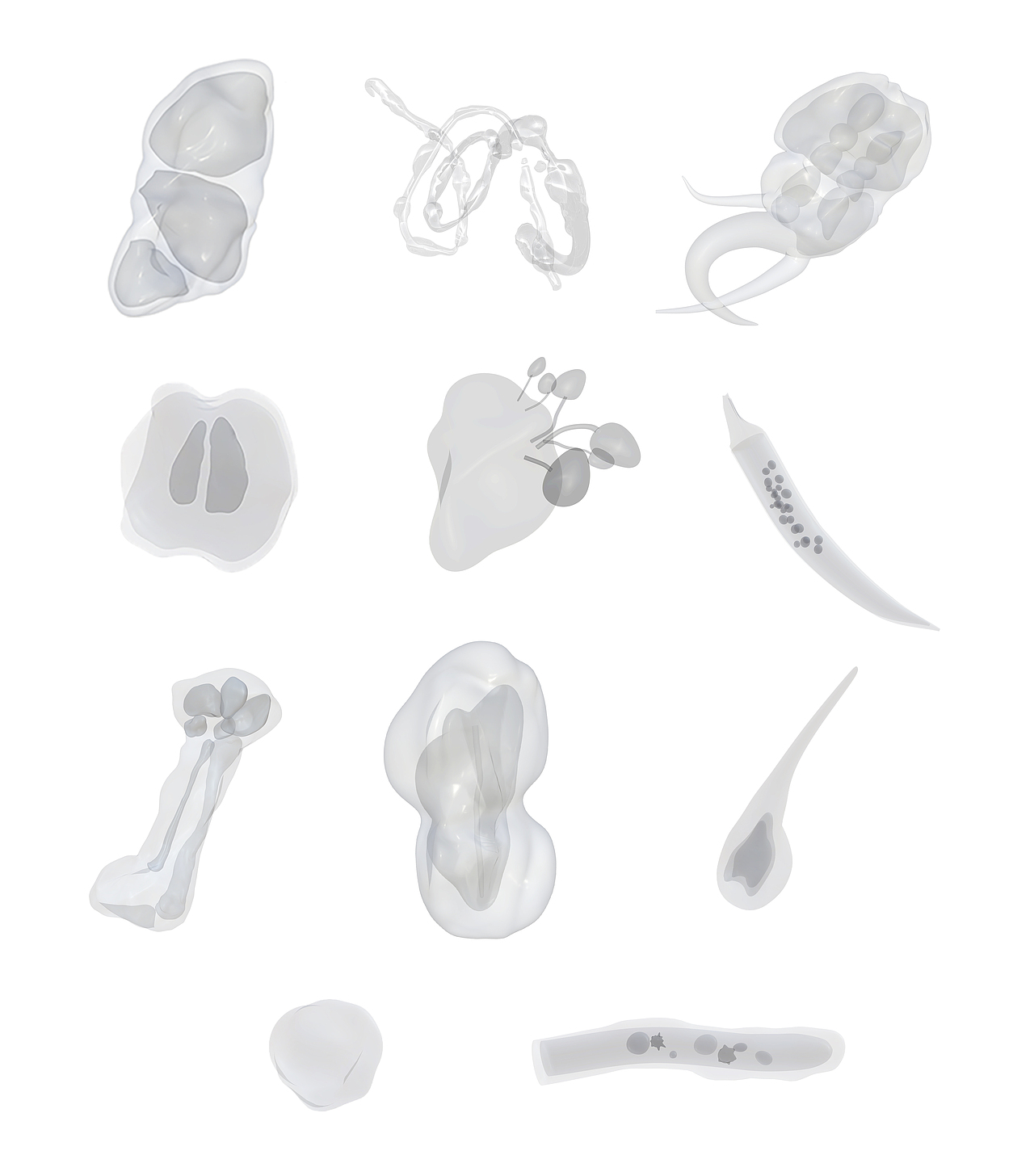 望闻问切中药包装网页系列设计（图ZMzQwNTc1MjI0） - 包装 - 站酷设计师EileenZT原创素材 - 站酷ZCOOL