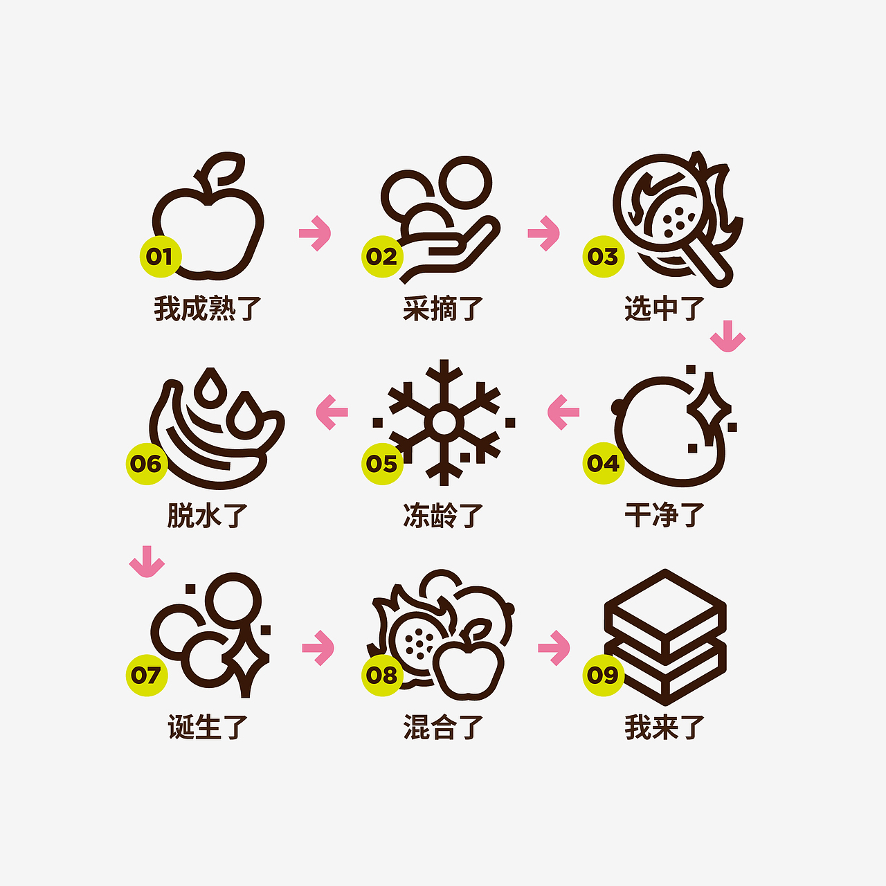 尚智×好想你|小冻粮每日冻干水果设计|食品包装设计