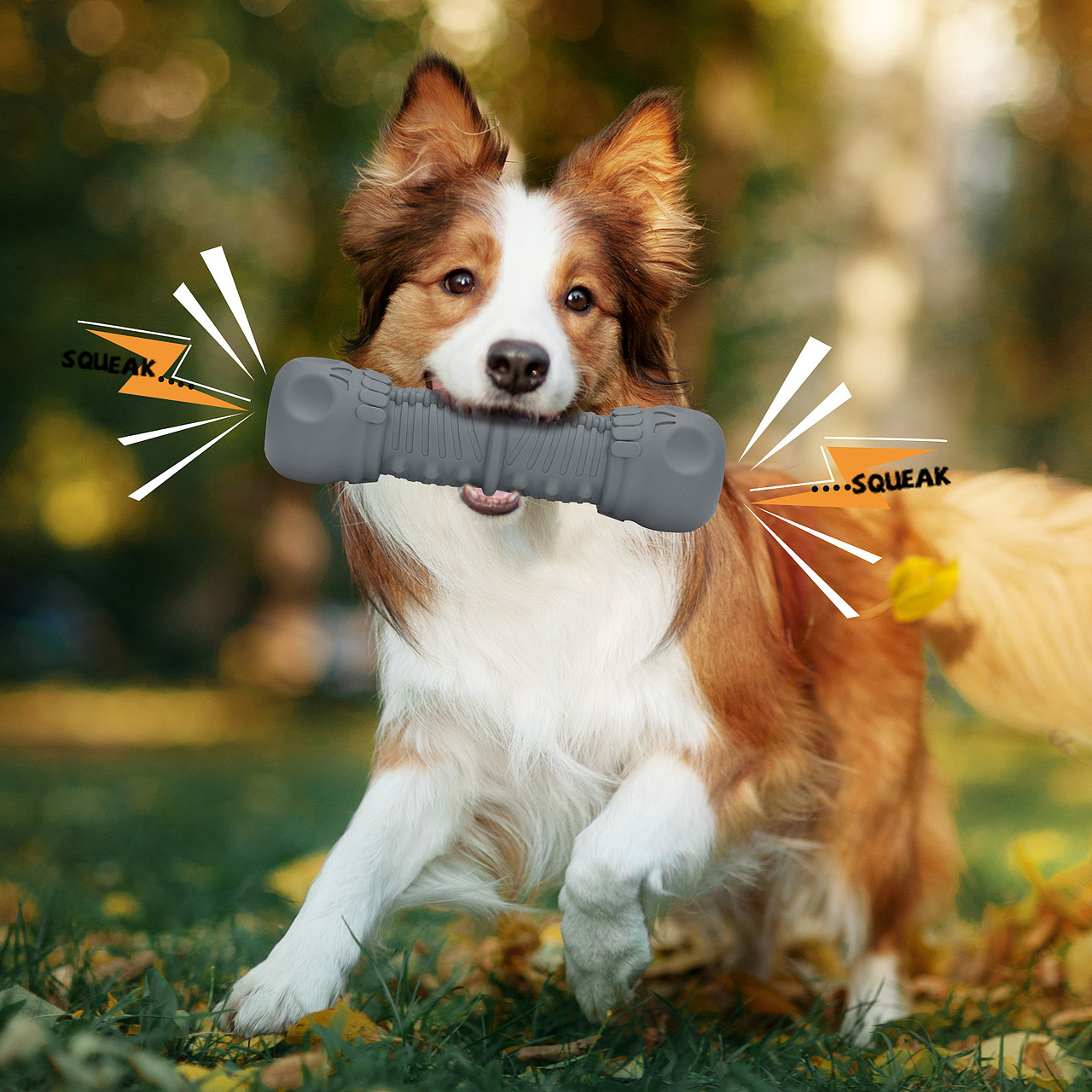 亚马逊跨境电商图-宠物用品-磨牙棒拍摄制作