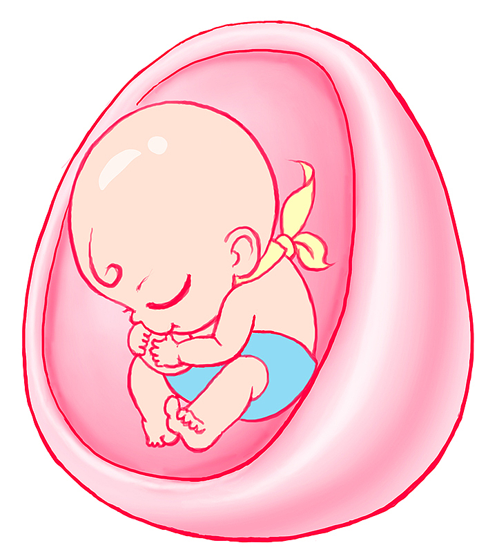 一个关于孕婴用品世界的品牌概念设计