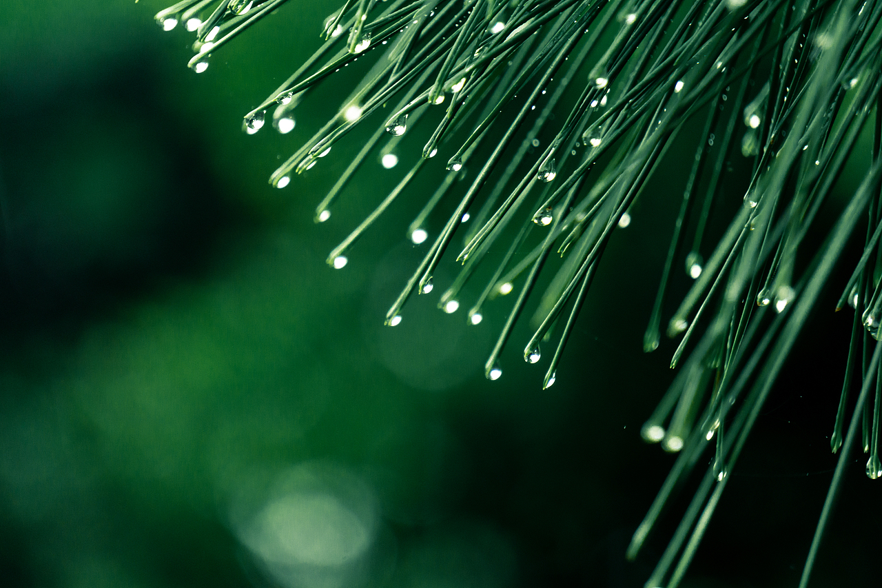 故乡的雨季（图ZMzA0NjY3Mjc2） - 风光摄影 - 站酷设计师一碗老酒原创素材 - 站酷ZCOOL