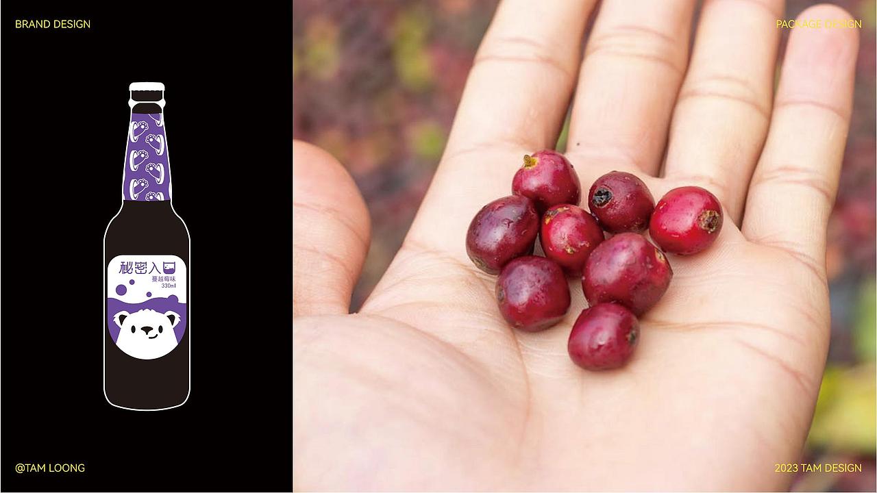 秘密入口精酿酒馆 | 品牌设计