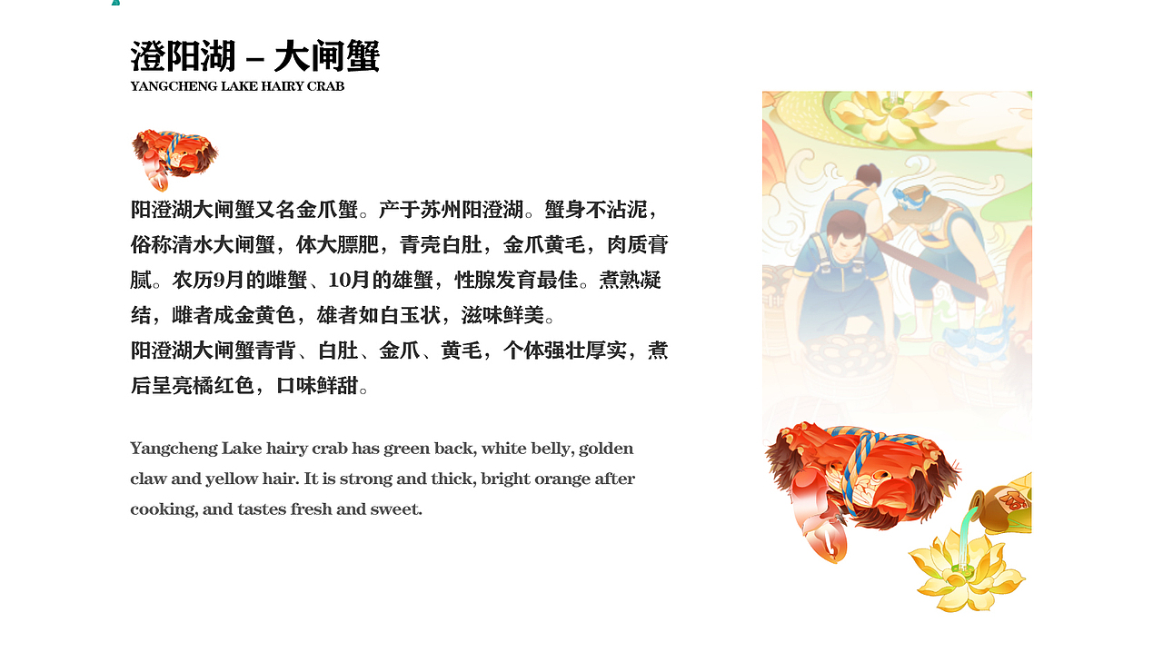 商业作品集（图ZMzI5MjgwMDcy） - 商业插画 - 站酷设计师方块方块六原创素材 - 站酷ZCOOL