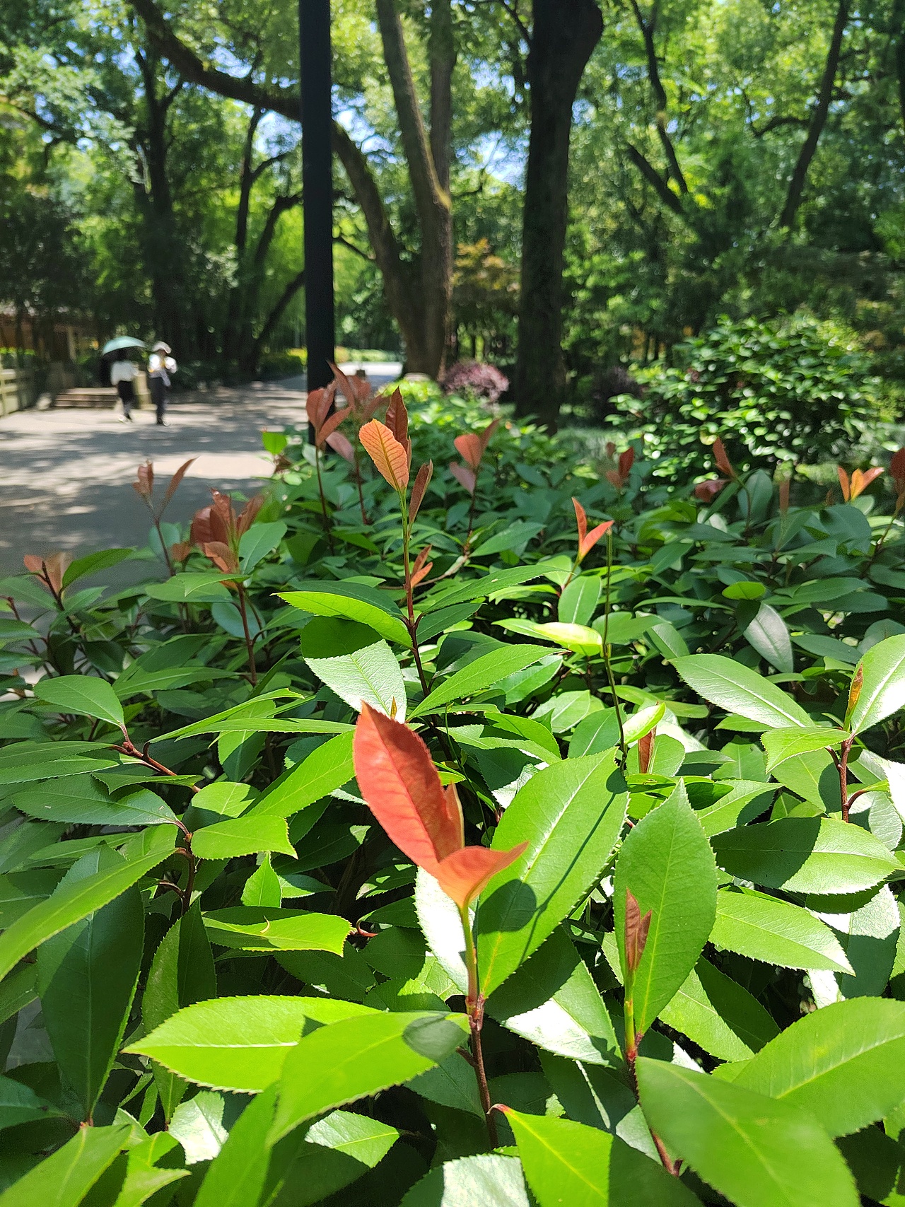 双寺(阿育王寺&天童寺)